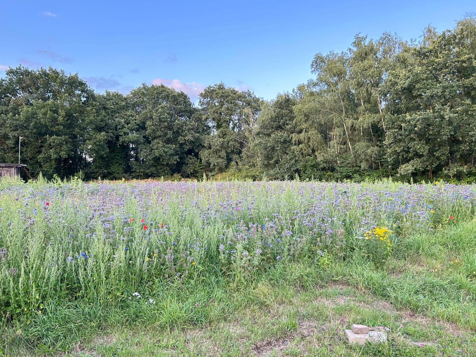Appartement Xantener Heeser Weg *