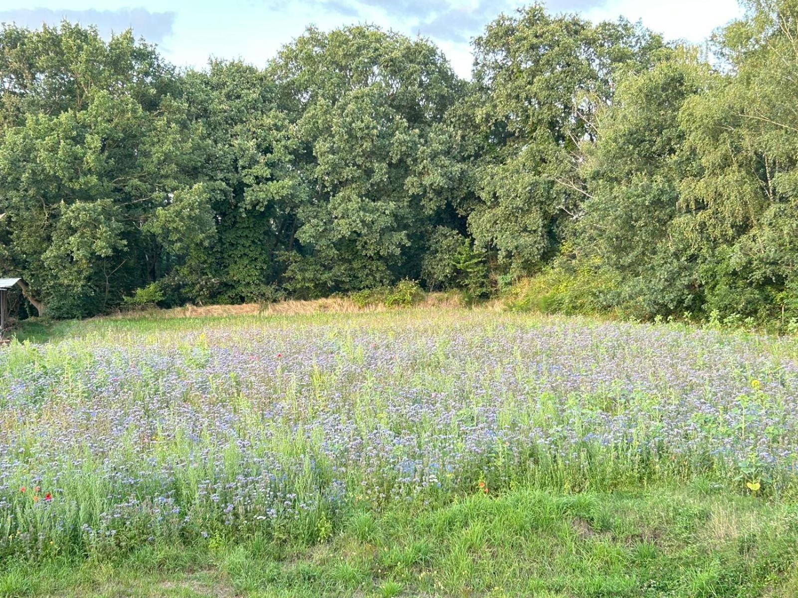 Xantener Heeser Weg